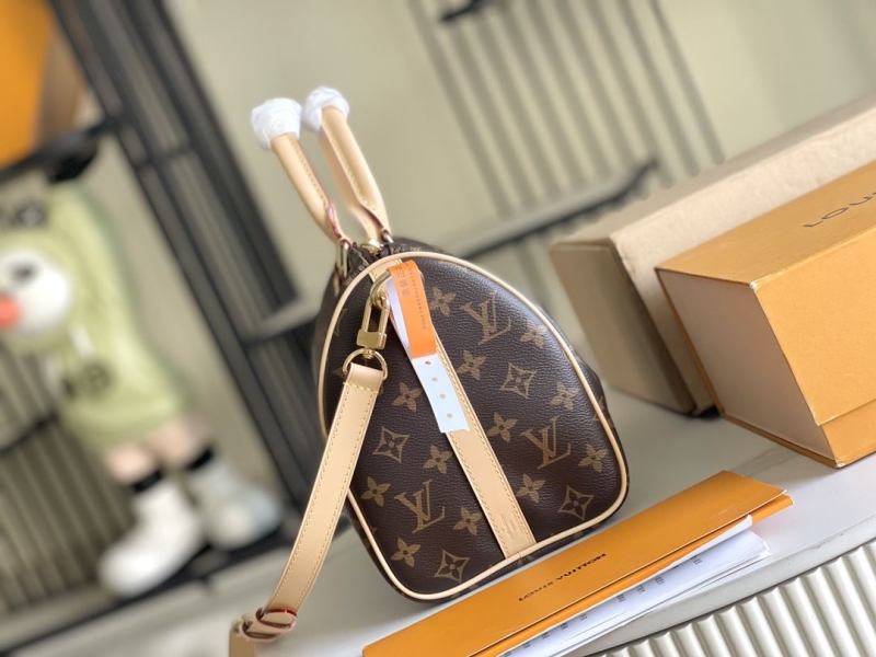 LV Speedy Bags